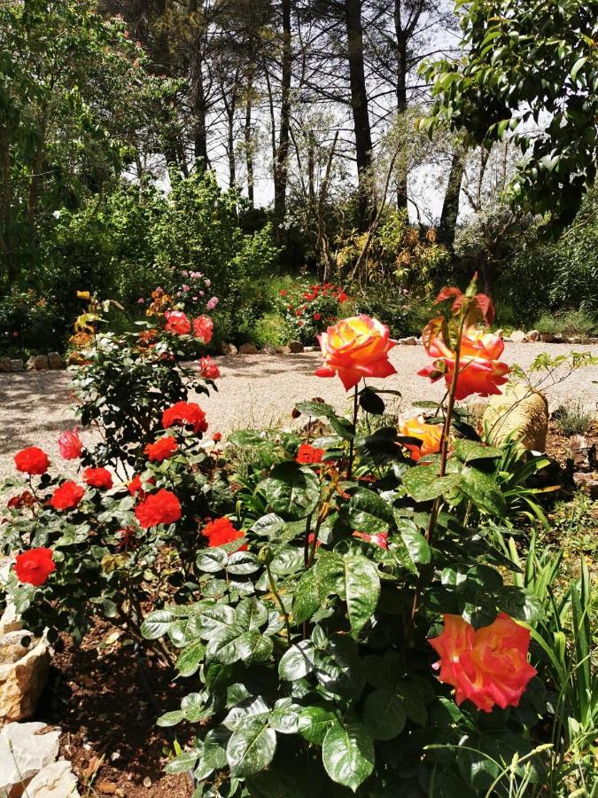 La Maison Du Soleil Provence Draguignan Kültér fotó