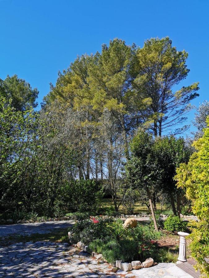 La Maison Du Soleil Provence Draguignan Kültér fotó